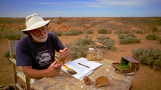 中等镜头的考古学家在沙漠折叠桌子上处理骨头视频素材