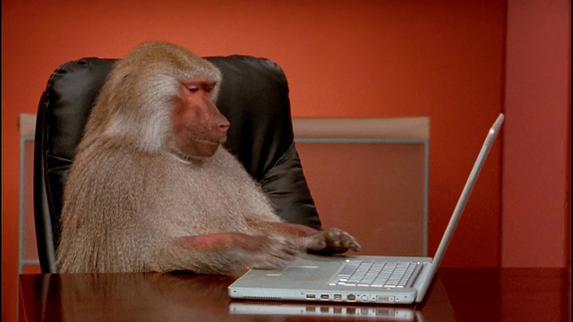 中等射击狒狒在笔记本电脑上打字，然后把它推开视频素材