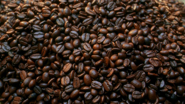 用手把咖啡豆蘸到土堆里，举起一些咖啡豆视频下载
