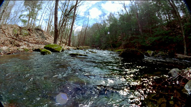 低角度长镜头岩石溪流排列w/树/佛蒙特州视频素材