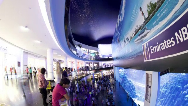 时间推移倾斜在人群和巨大的水族馆，迪拜购物中心，迪拜视频下载