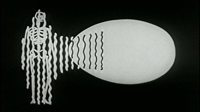 1940年黑白动画单词“矿物质”、“蛋白质”和“维生素”闪在鸡蛋上+改变骨骼到人视频下载