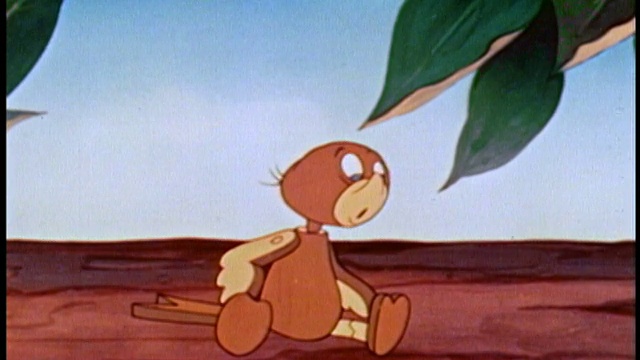 1948年动画木布谷鸟看着迷人的雌鸟走过，看起来很开心/音频视频素材
