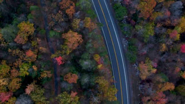 空中俯瞰山路上的汽车，美丽的树叶颜色挂在树上视频素材