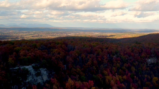 在秋天，空中飞过沙旺坎克山脉，美丽的树叶颜色在树上视频素材