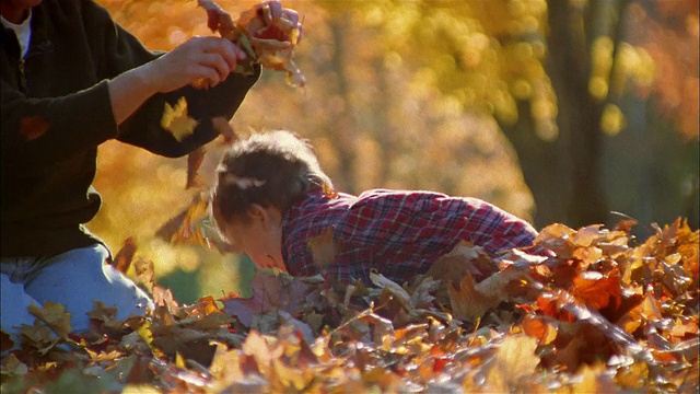 中等射击的小男孩玩在秋天的树叶/妈妈视频素材