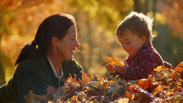 中等拍摄的小男孩在秋天的树叶中玩耍/妈妈把树叶放在他的头上视频素材