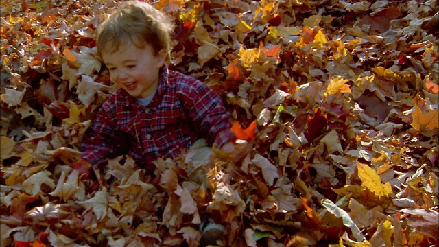 高角度中拍摄的小男孩在秋天的树叶堆里玩耍和微笑视频素材
