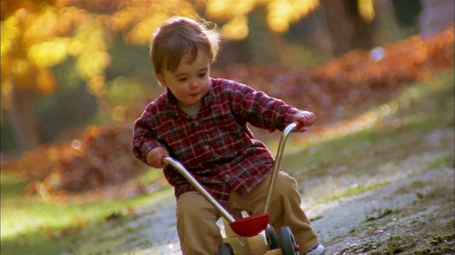 中拍摄的年轻男孩坐在三轮车和走在秋叶的背景视频素材