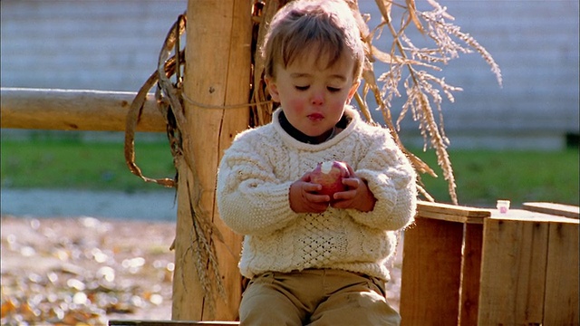 中镜头的蹒跚学步的男孩穿着毛衣坐在户外吃苹果视频素材
