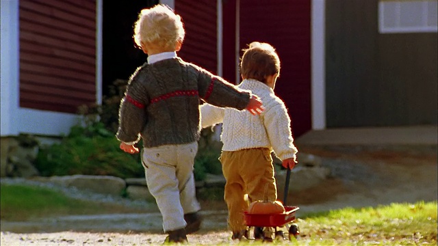 中镜头后视图小男孩拉着红色的马车，南瓜/其他男孩在他后面跑视频素材