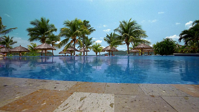 宽镜头室外游泳池与棕榈树的背景视频素材