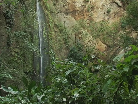 尼加拉瓜，沿着丛林悬崖的瀑布视频下载
