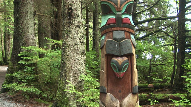 MS, TU，森林里的彩色图腾柱，锡特卡国家历史公园，阿拉斯加，美国视频素材