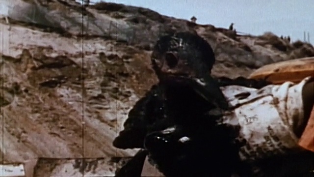 1970年，近距离观察一只被石油覆盖的鸟视频下载