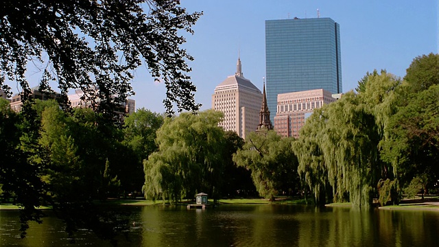 波士顿公共花园的湖和树的全景，背景是摩天大楼/波士顿视频下载