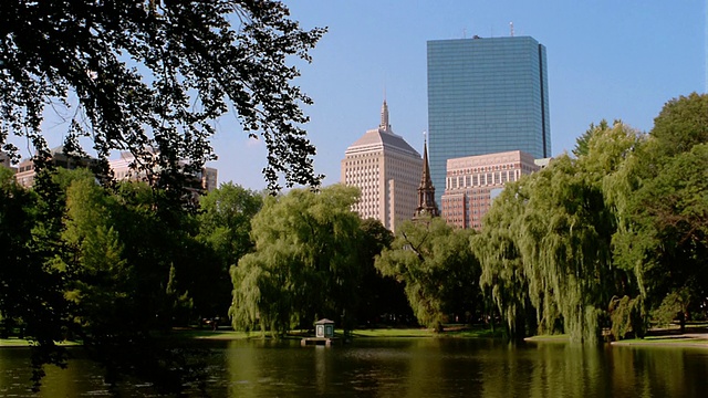 宽镜头倾斜的湖和树木在波士顿公共花园与摩天大楼的背景/波士顿视频下载