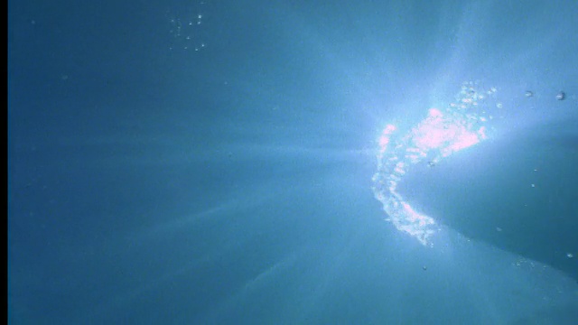 水下特写虎鲸游泳通过相机与阳光透过水视频素材