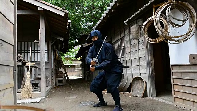 日本剑术忍者视频下载