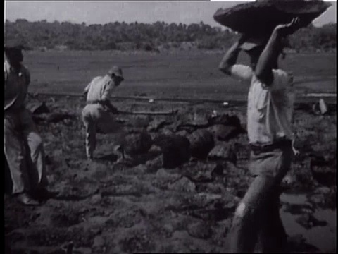 1932年特立尼达视频下载