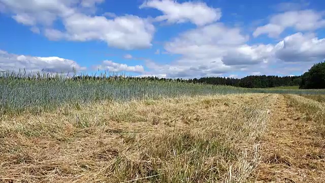 农业景观视频下载