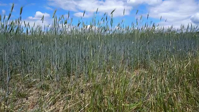 农业景观视频下载
