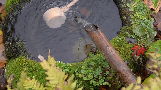 HD MS:水流向神圣的池塘，日本视频下载