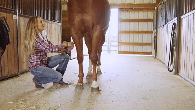 在马厩里刷马的女人视频下载
