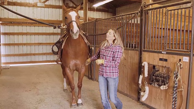 一个女人正在给她的马装鞍视频下载