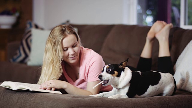一个女人在看书，她的狗在啃骨头视频下载