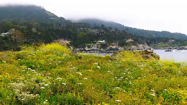美丽的加州自然风光视频下载