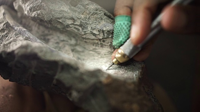 CU化石岩石/ Muldersdrift/南非视频素材