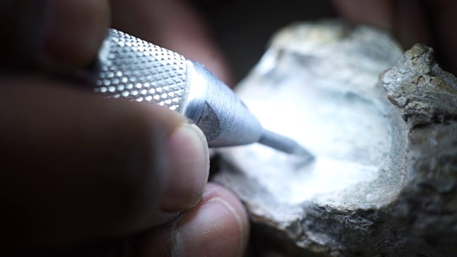 CU化石岩石制备/ Muldersdrift/南非视频素材