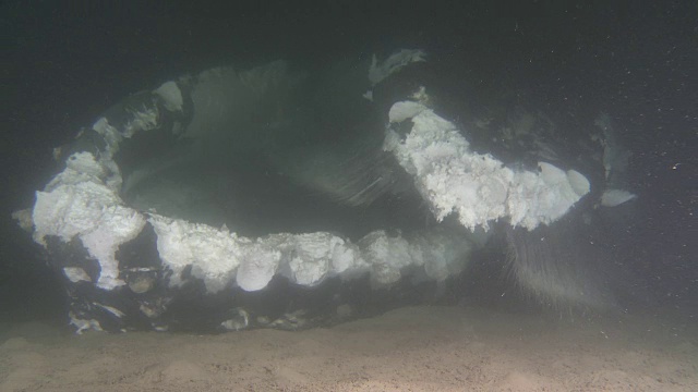 鲸鱼落在海底宽角度视频素材