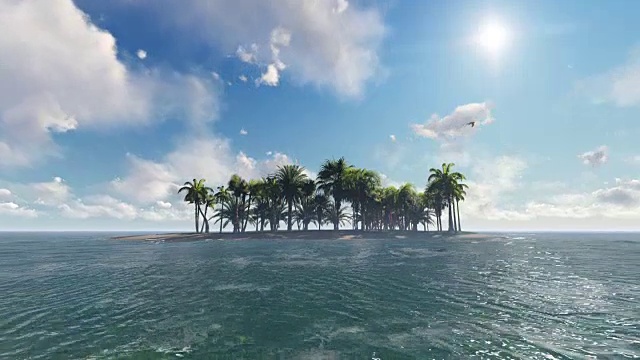 棕榈树岛视频下载