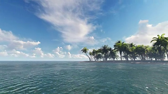 沙滩上的棕榈视频下载