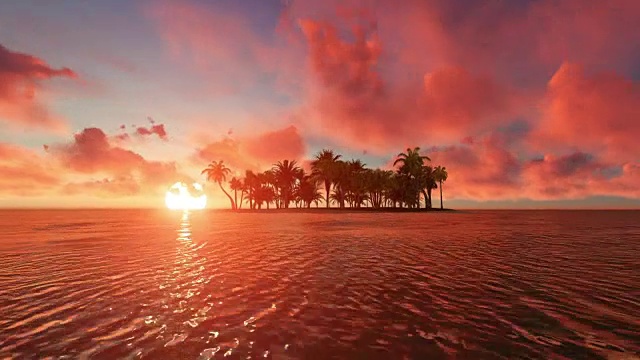 日落时的热带棕榈树视频素材