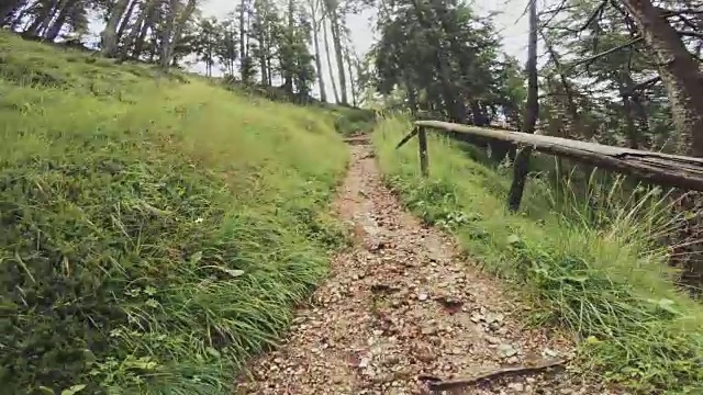 一个男人在森林里越野跑的视频视频素材