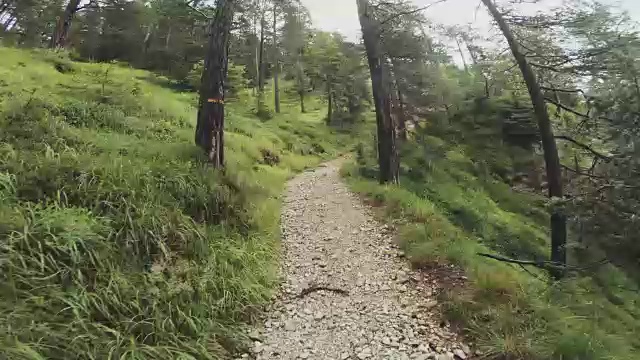 一个男人在森林里越野跑的视频，时间流逝视频素材