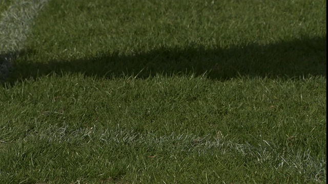 足球运动员把球放在场地上，然后踢它/谢菲尔德，英格兰，英国视频素材