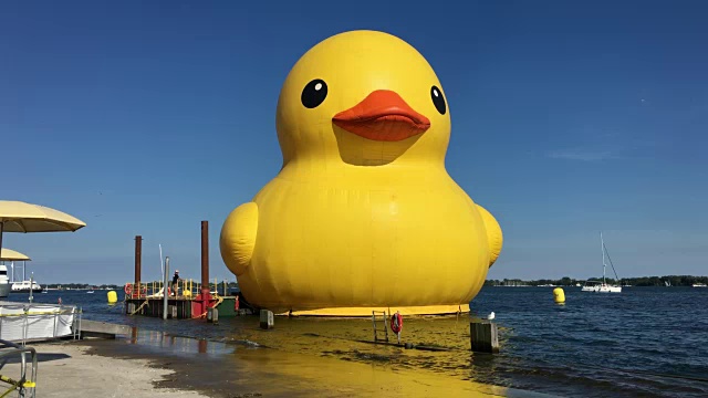 加拿大多伦多:城市海滨的巨型橡皮鸭，镜头稳定。这个黄色的大玩具是安大略省为了庆祝加拿大建国150周年而租用的。视频下载
