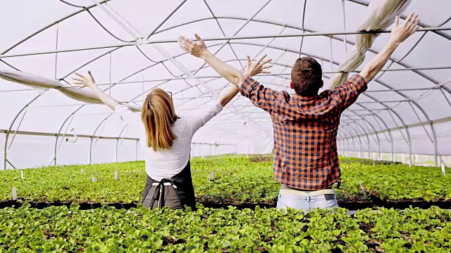 快乐的园丁们在温室里举起他们的手臂视频下载