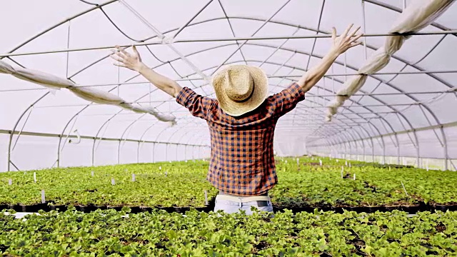 快乐的园丁在温室里伸出双臂视频下载