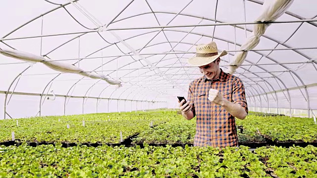 欣喜若狂的园丁在温室里使用智能手机视频下载