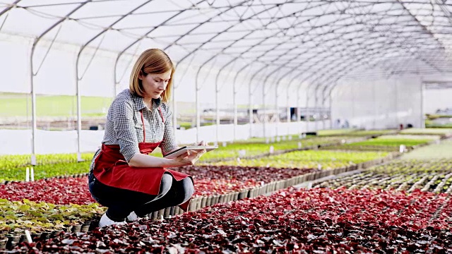 一个现代女性花商分析花卉生长的肖像视频素材
