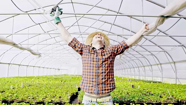 欣喜若狂的花商在温室里伸出他的双臂视频下载