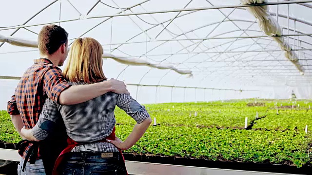 SLO MO DS爱花匠在拥抱看着温室视频下载