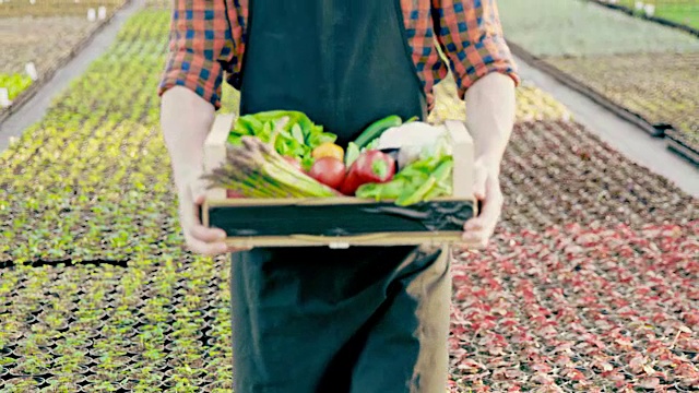 SLO MO一个不认识的农民，带着装满蔬菜的板条箱视频下载