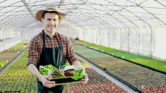 一个在温室里装满蔬菜的板条箱的农民的肖像视频下载
