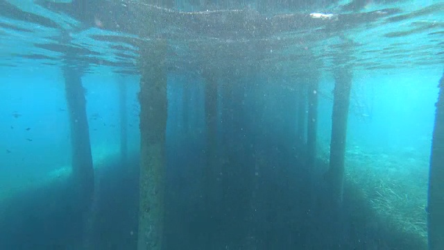 海底视频下载